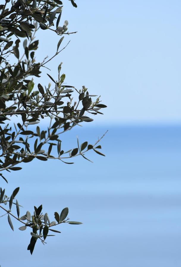 Thalatta Beyond Guesthouse Agios Ioannis Agios Ioannis  Exterior foto
